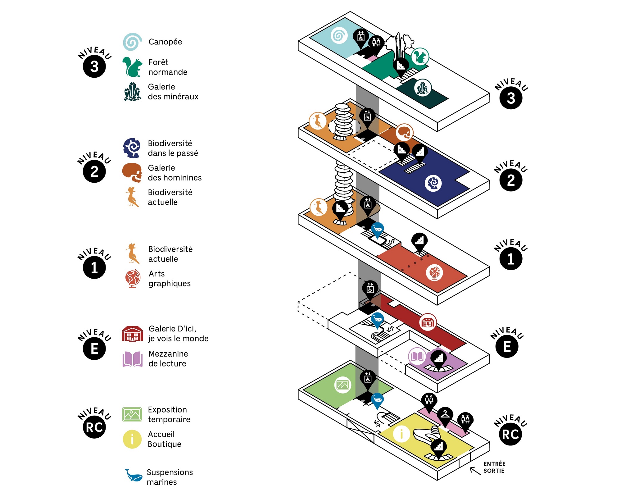 Plan des différents espaces du Muséum d'histoire naturelle rénové
