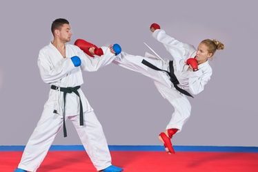 vignette taekwondo