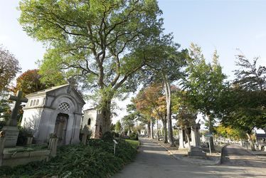 Le cimetière Sainte-Marie