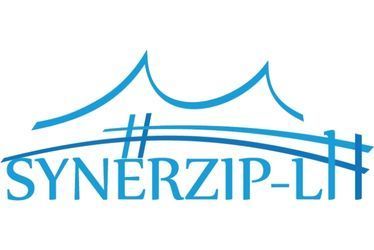 logo-synerzip.jpg