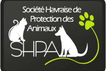 Societe havraise protectrice des animaux shpa