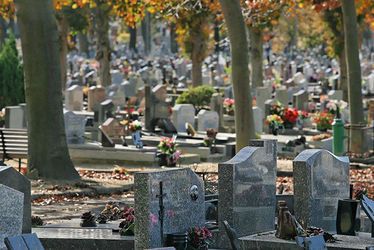 Pour rattraper le retard dû à la crise sanitaire, la Ville du Havre renforce les effectifs dédiés à l'entretien des cimetières
