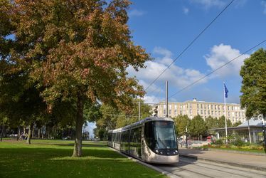 tramway-2021canne-bettina-brunet-2.jpg