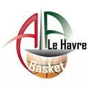 ala aplemont basket