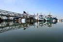 Le Port de pêche au cœur du quartier Saint-François