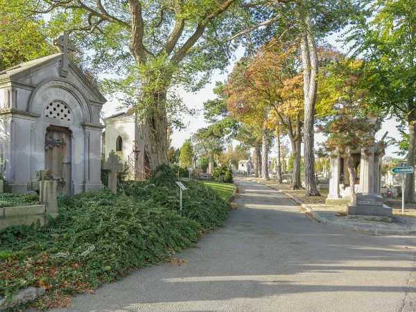 Le cimetière Sainte Marie