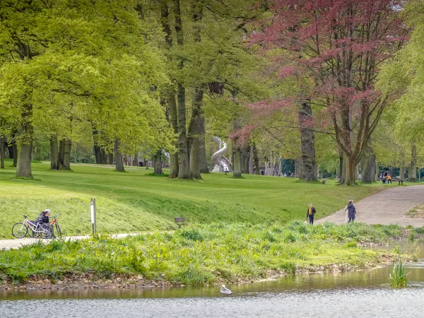 La lisière de la forêt de Montgeon